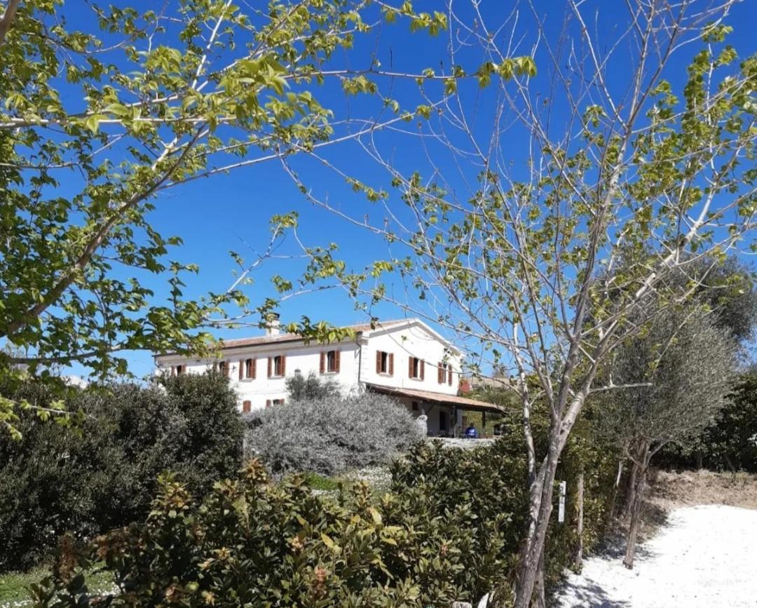Rustico Del Bozzo Hostal Castelleone di Suasa Exterior foto