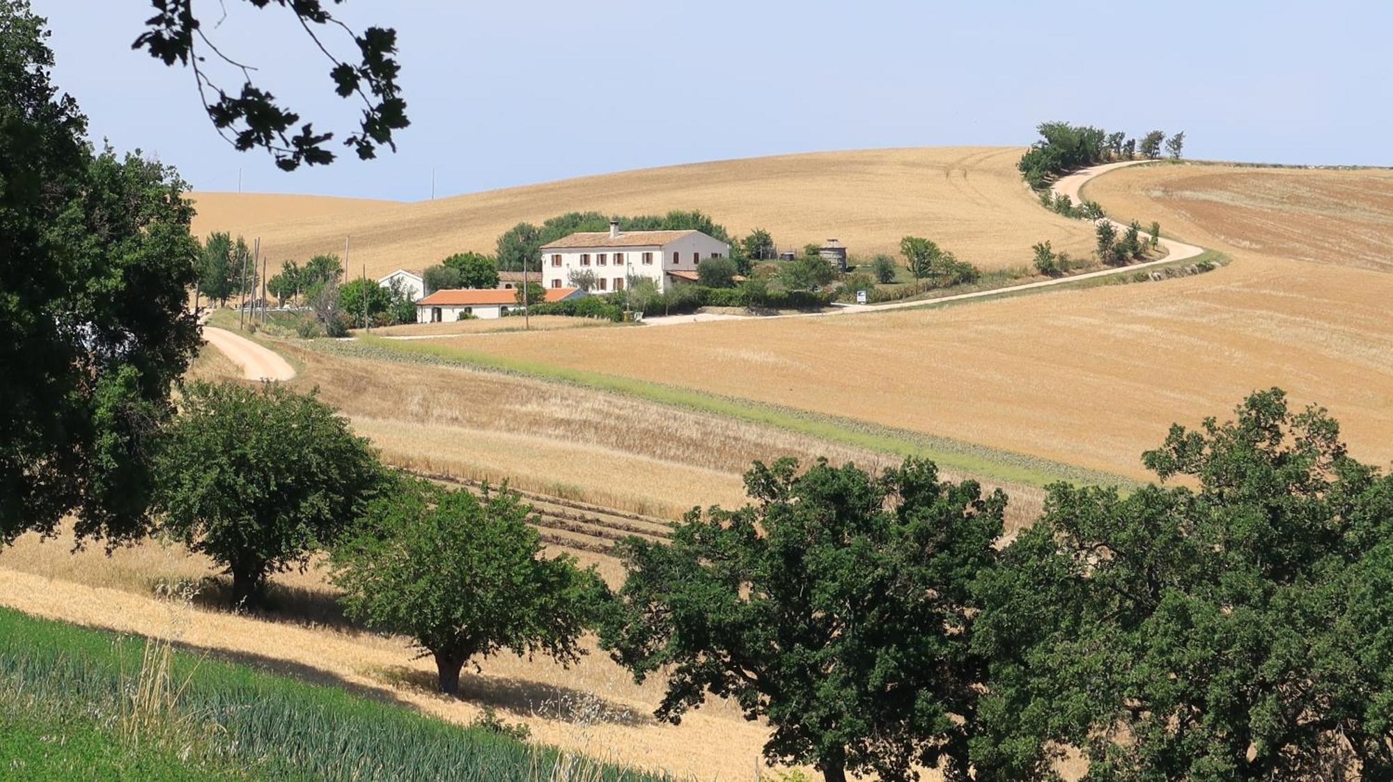 Rustico Del Bozzo Hostal Castelleone di Suasa Exterior foto